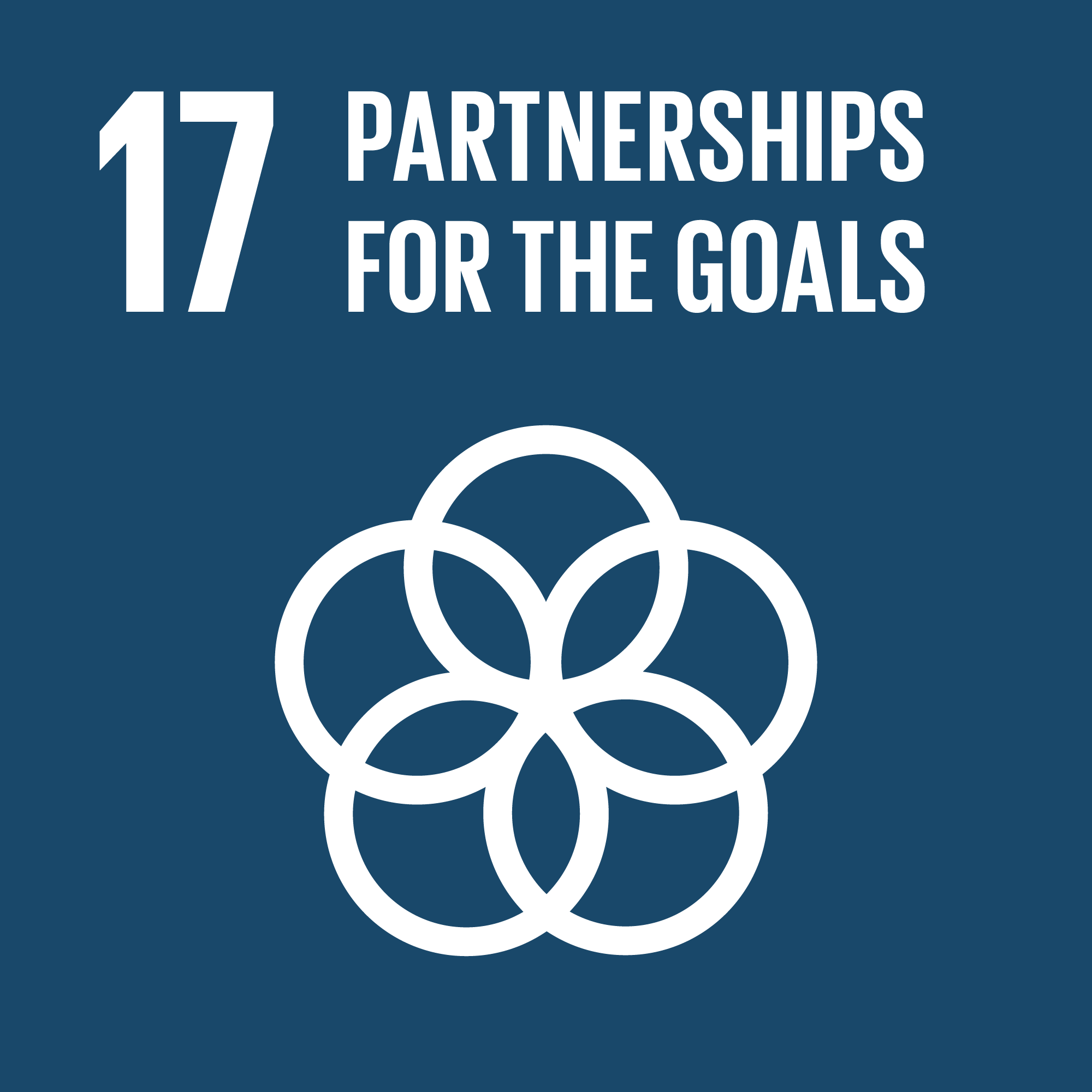 Agenda 2030 goal number 17: partnerships for the goals