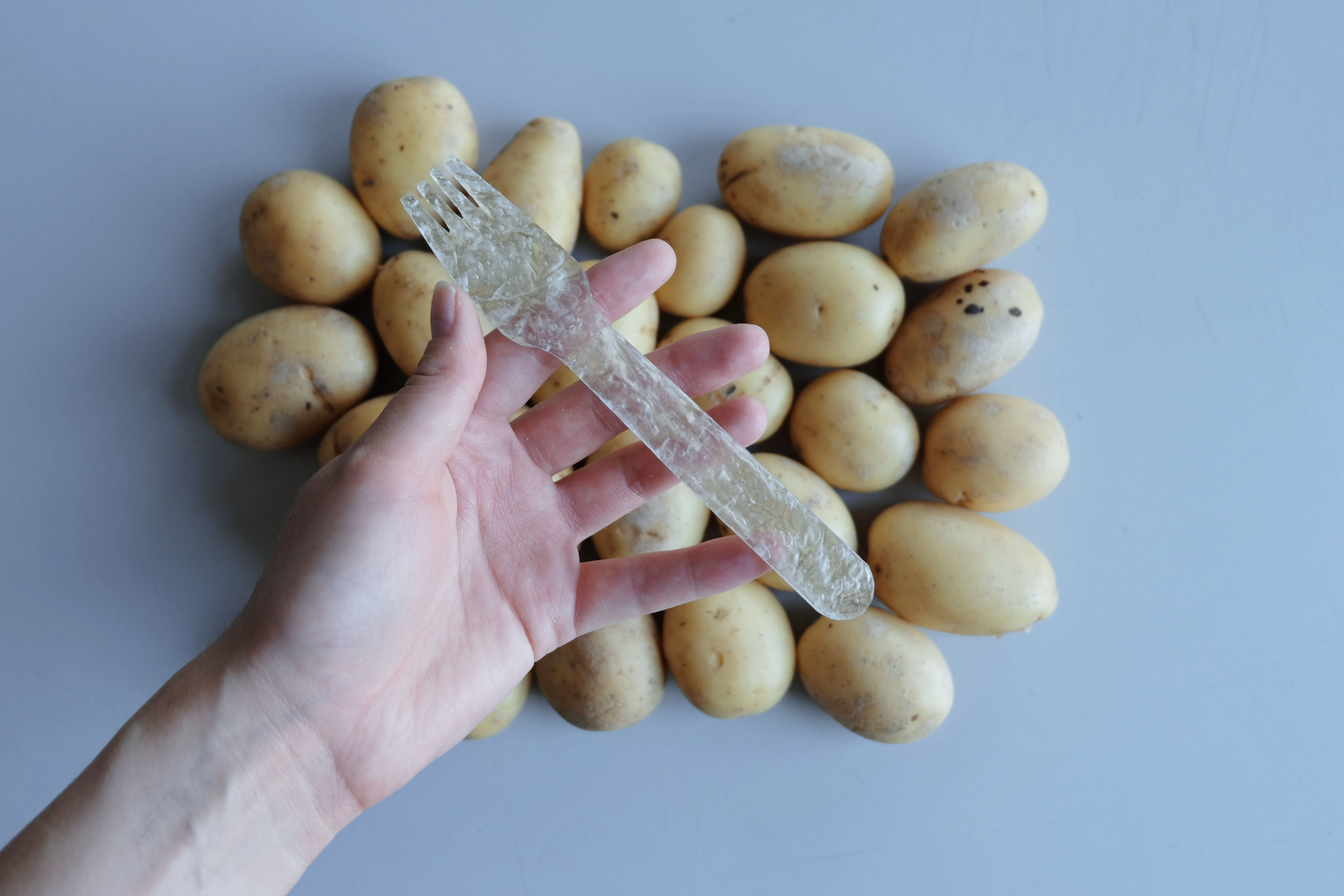 Pontus Törnqvist, the first-ever winner of JDA in Sweden, invention, Potato Plastic.