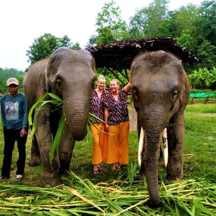 Two girls together with two elephants