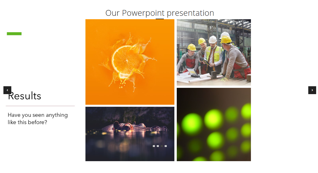 Powerpoint presentation embedded in the Presentation page.