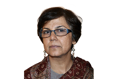 Professor Sangeeta Bagga-Gupta