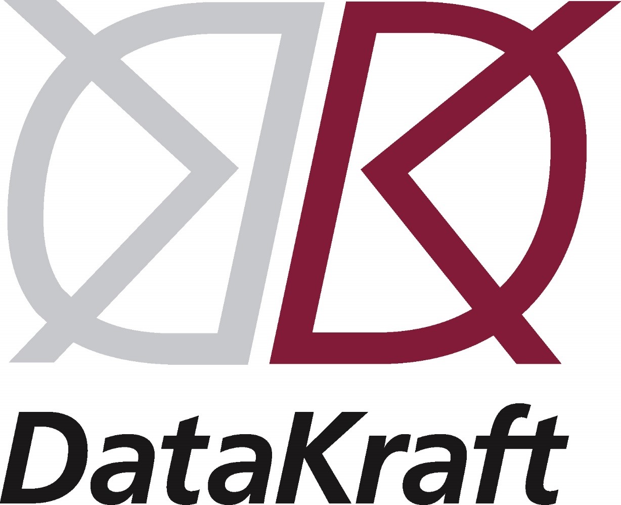 Datakraft logotyp