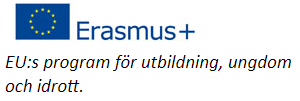 Erasmus plus