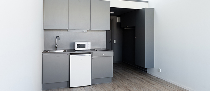 Student apartment with small grey kitchen