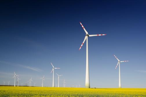 Wind turbines in a field against a blue sky. 