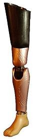 Prosthetic Design