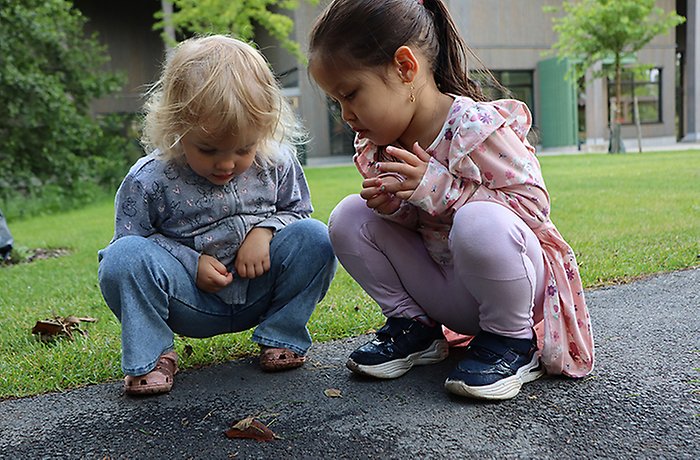 Naturbaserade lösningar viktigt vid klimatomställning