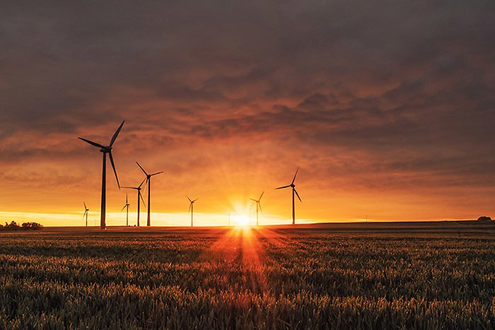 A field of wind turbines.