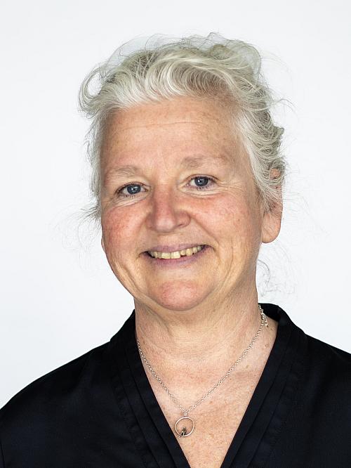 Anna-Lena Godhe